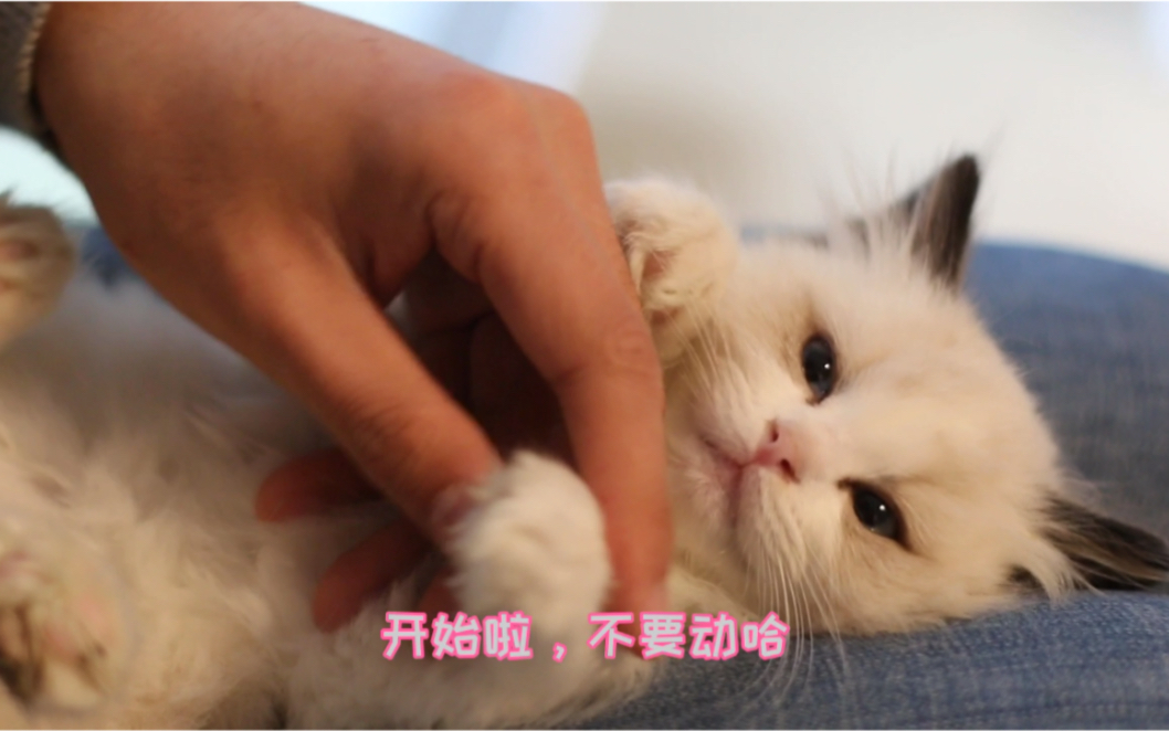 678体育登录入口-福建啦啦队分享日常：呼啊呐呐呐，呐呐呐耶的简单介绍